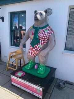 Another bear!
